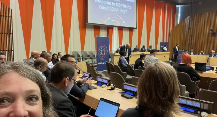 Dr. Newell at the UN